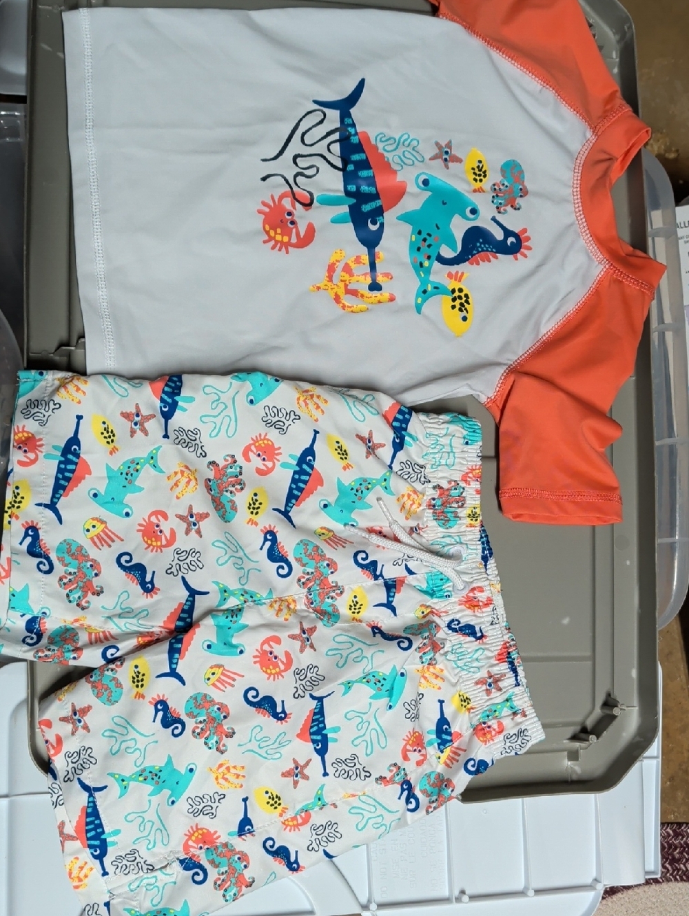 Kids' Coral Short-Sleeve Rash Guard Set with Sea Creatures